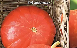 СЛАДКИЙ ПИРОГ