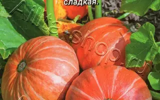 СЛАВЯНКА
