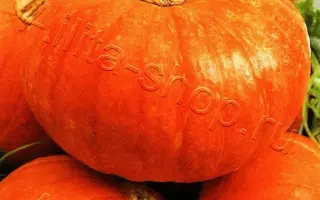 ОРАНЖЕВОЕ ВАРЕНЬЕ