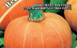 ВЕСЁЛЫЕ РЕБЯТА