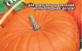 ОСЕННИЙ ПИРОГ