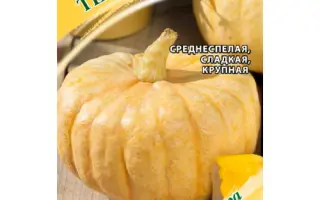 ТЁЩИН ПИРОГ