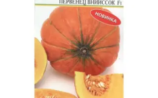 ПЕРВЕНЕЦ ВНИИССОК