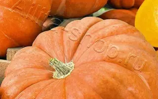 МЕДОВЫЙ ДЕСЕРТ