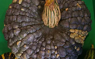 ЦАРЕВНА-ЛЯГУШКА