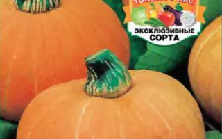 ДЮЙМОВОЧКА