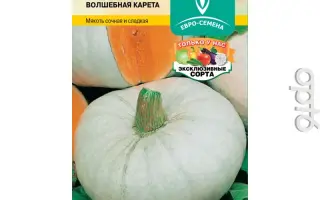 ВОЛШЕБНАЯ КАРЕТА