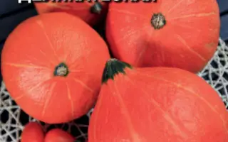 ДЕТСКАЯ ДЕЛИКАТЕСНАЯ