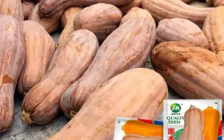 МИЧУРИНСКАЯ