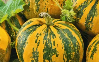 ВИТАМИННАЯ