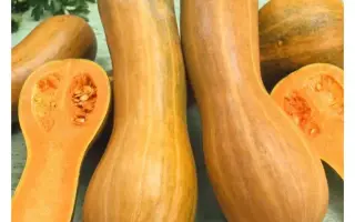 АРАБАТСКАЯ