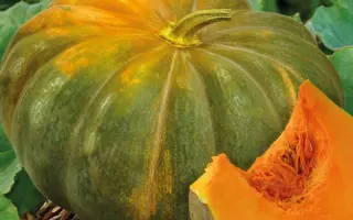 МУСКАДЭ АГРО