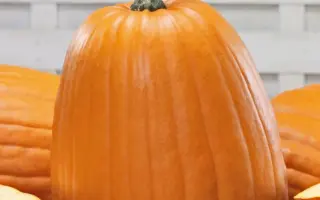 ДРУЖЕЛЮБНАЯ