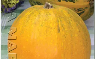 МОЗОЛЕЕВСКАЯ 49