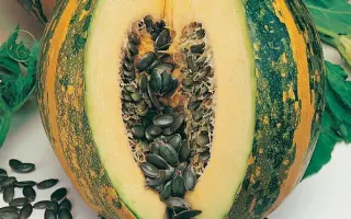 ШТИРИЙСКАЯ ГОЛОСЕМЕННАЯ