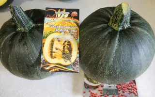 ЭСМЕРАЛЬДА