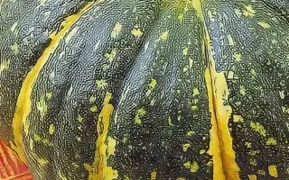 СЛАДКАЯ ФЕЯ