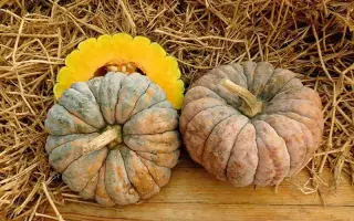 КУРИДЖИМАН