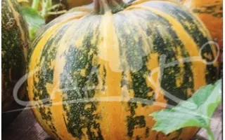 ПРОСТАСТОП