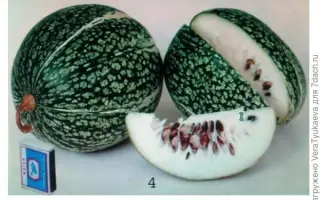 ПАМЯТИ ТАРАКАНОВА