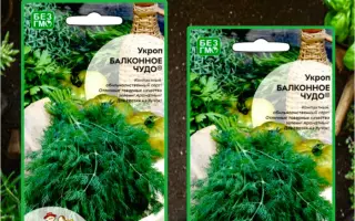 БАЛКОННОЕ ЧУДО