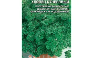 ХЛОПЕЦ КУЧЕРЯВЫЙ