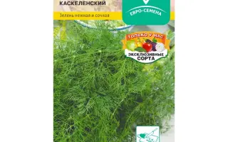 КАСКЕЛЕНСКИЙ