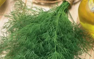 ДИВО ДИВНОЕ