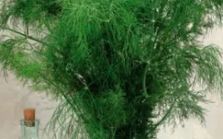 РУССКИЙ ДЕЛИКАТЕС