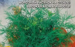 МОРОЗ ИВАНЫЧ