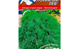 ЛОХМАТЫЙ ЛЕВ