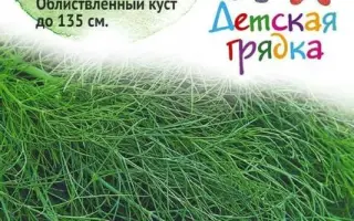 ЗЕЛЕНОЕ КРУЖЕВО