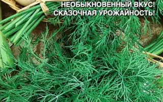 ПОБЕДИТЕЛЬ