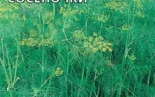 ЕЛОЧКИ-СОСЕНОЧКИ