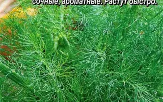 ГОЛУБОЙ ИНЕЙ