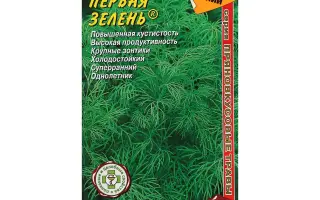 ПЕРВАЯ ЗЕЛЕНЬ