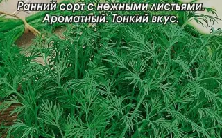 БОРОДА МОНАХА