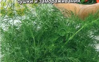 ЗЕЛЕНАЯ АЛЛЕЯ