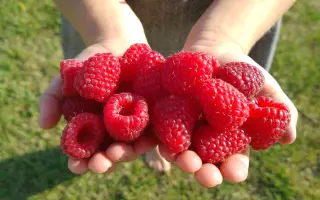 КАРАМЕЛЬКА