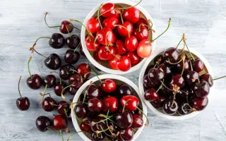 ПЕСКОВАЦКАЯ