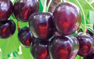 ПАМЯТИ АСТАХОВА