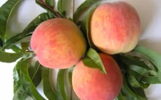 КРЫМСКИЙ ШЕДЕВР