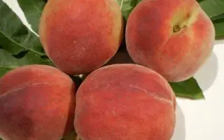 ПАМЯТНЫЙ НИКИТСКИЙ