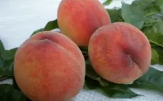 ТЕМИСОВСКИЙ