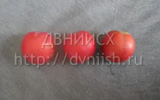 МИСС ХАБАРОВСК