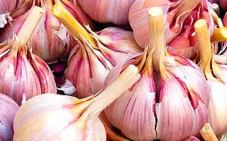 ЮБИЛЕЙНЫЙ ГРИБОВСКИЙ