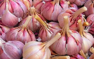 КОМСОМОЛЕЦ