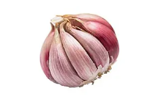 НОВОСИБИРСКИЙ