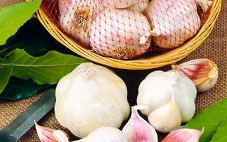 НОВГОРОДСКИЙ