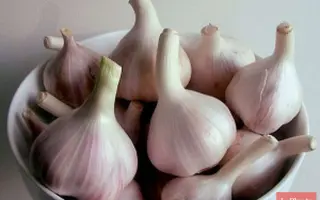 ДУБКОВСКИЙ